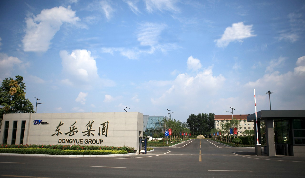 dongyue company